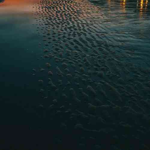 موسی الرضا هاتفی عشق منی تو ای وطن تویی جان